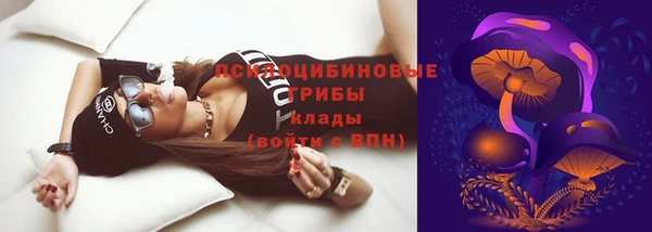 ешки Арсеньев