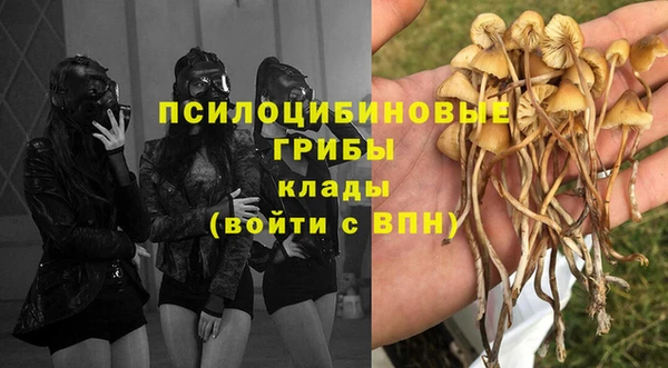 ешки Арсеньев